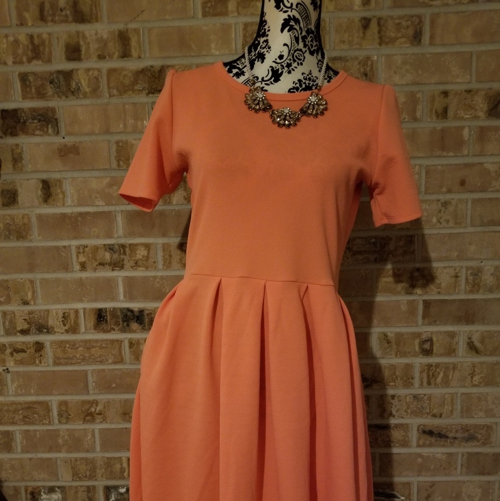 Stunning Amelia by Lularoe!